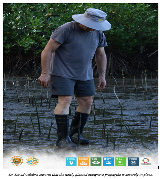 3,000 Mangrove Seedlings Planted as MU Joins Tree-Growing Activity for the International Day for the Conservation of the Mangrove Ecosystem